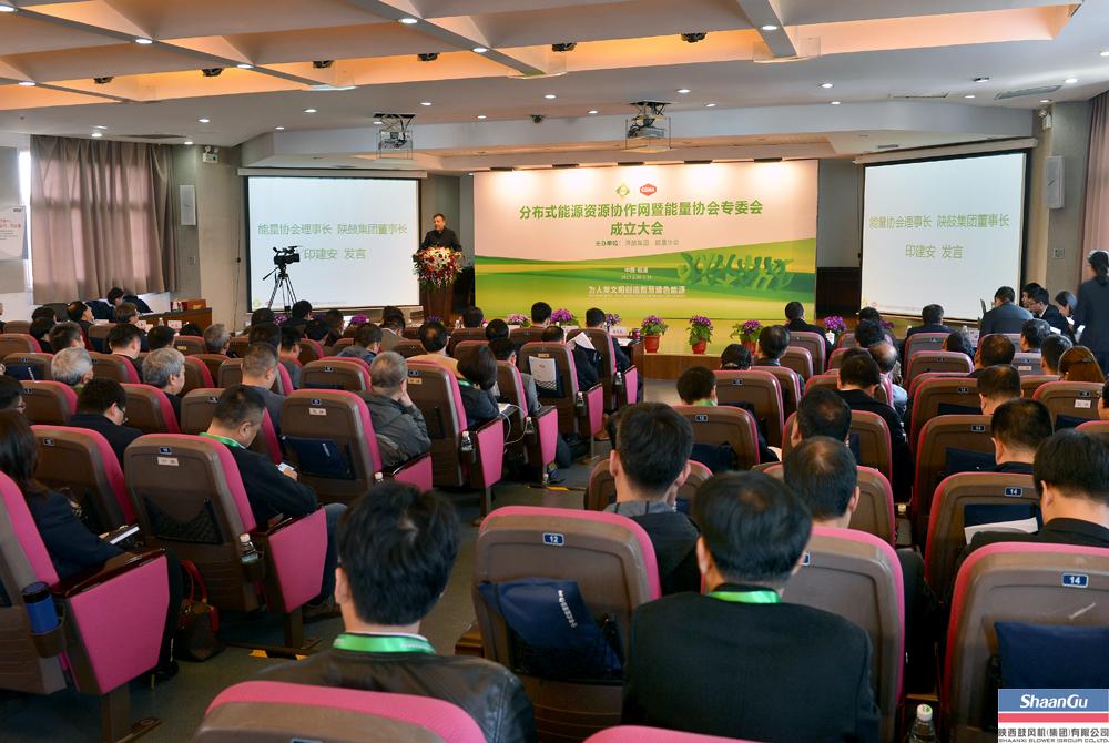 大平台汇聚众实力 漫衍式能源资源协作网建设