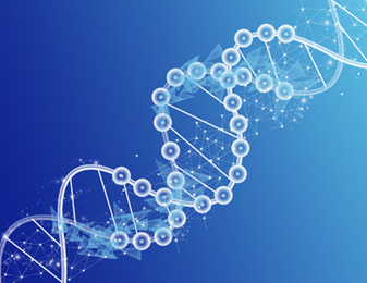 永利集团·yl8cc(中国游)官方网站